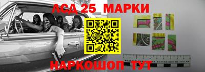 стаф Славгород