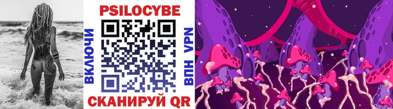 Псилоцибиновые грибы Cubensis hydra рабочий сайт Саров как найти наркотики