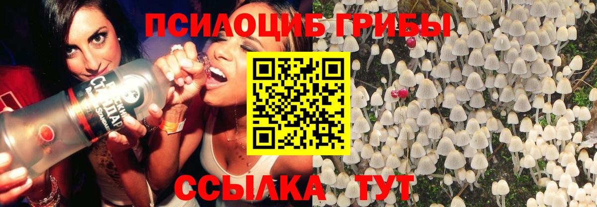 Саров  Псилоцибиновые грибы MAGIC MUSHROOMS  наркошоп  Вход с VPN 